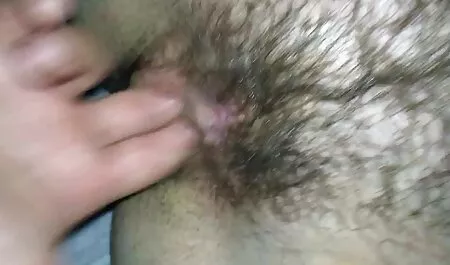 Die Hunde Kinder lie ...