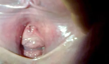 Sie gab Geschenke an ...