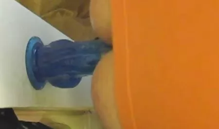 Die Paare betrinken  ...