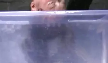 Arzt in der deutsche ...