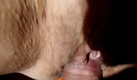 Katze in die Muschi  ...