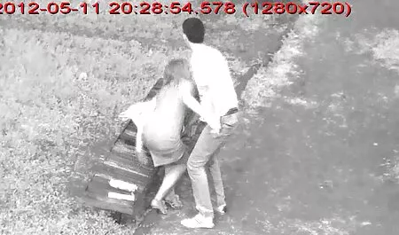 Die verhafteten reif ...