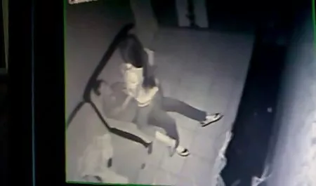 Fruchtbare, Schwange ...