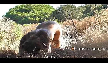 Die beiden ficken si ...