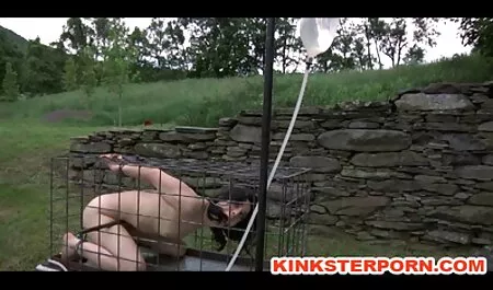 Schwarz, weiß, Pries ...