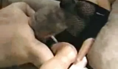 Perverser weißer Hun ...