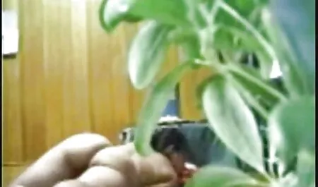 Beine, die Dame sieh ...