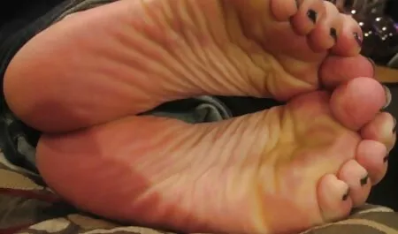 Eine Hündin übt auf  ...