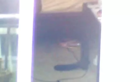 Sie sprengte sich mi ...